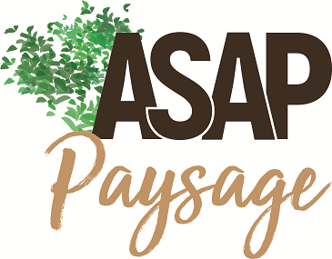 Asap paysage