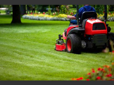 Entretien de parcs et jardins