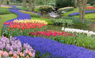 AmÃ©nagement de jardins Poitou Charentes