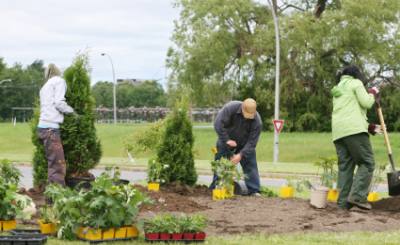 Plantations Niort